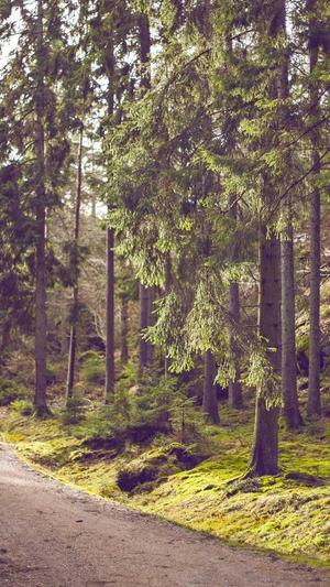 51cg10吃瓜热点截图2