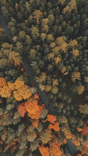 李宇春 黑料截图4