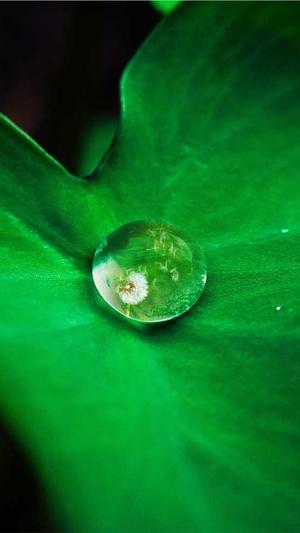 有哪些吃瓜的网站截图4