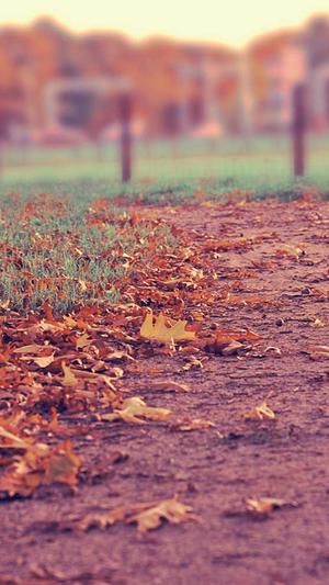 孕妇可以吃哈密瓜吗刚怀孕的孕妇截图4