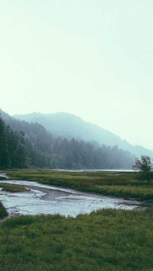 黑料不打烊万里长征截图2