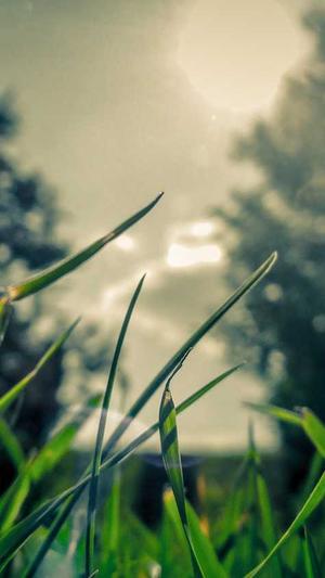 德云社黑料截图1