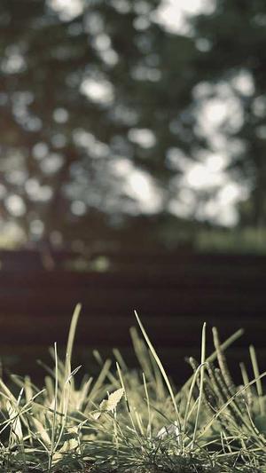 153.sk 黑料截图4