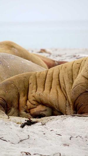 soeg黑料不打烊导航截图3