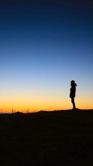 早上吃哈密瓜截图3