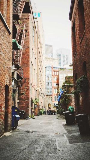 黑料正能量2022年截图3