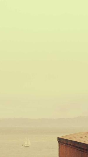 91吃瓜顶楼的大象截图4