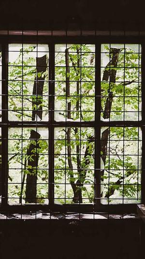 吃瓜表情包截图3