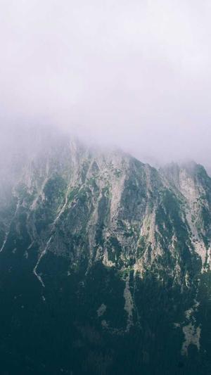 我在年代文里吃瓜 芷柚截图1