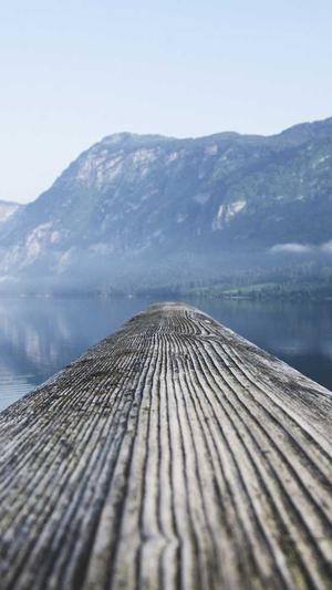 黑料不打烊网址是多少截图1