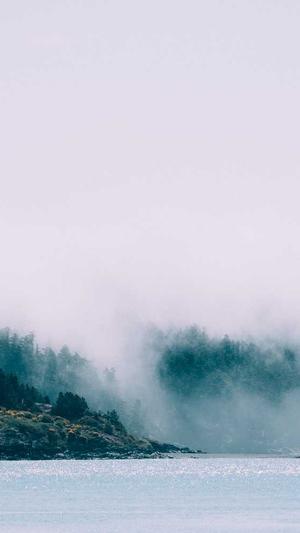 黑料传送门最新截图3