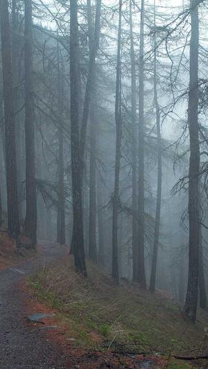 晚上吃哈密瓜截图5