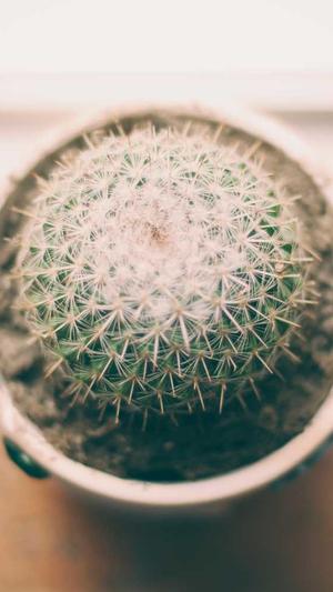 檀健次黑料截图1