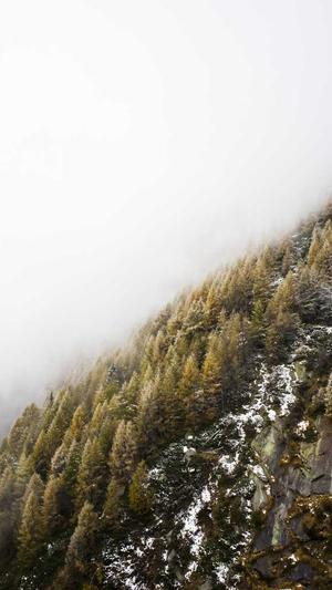 佛手瓜怎么吃能降血糖截图3