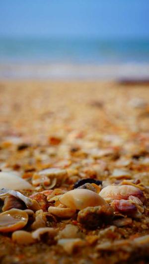 你的黑料比本人可爱截图3