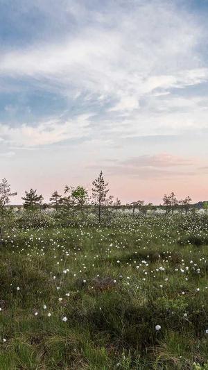 德云社黑料截图3