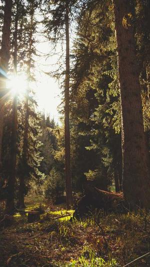 孕妇吃哈密瓜抖音截图3