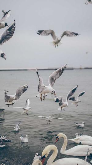 童谣真实黑料天涯截图3