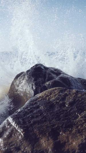 孕早期可以吃哈密瓜截图1