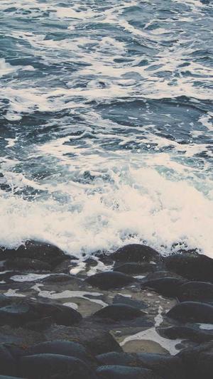 黑料网首页截图2