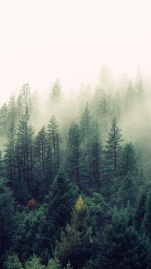 首页-黑料社区截图1