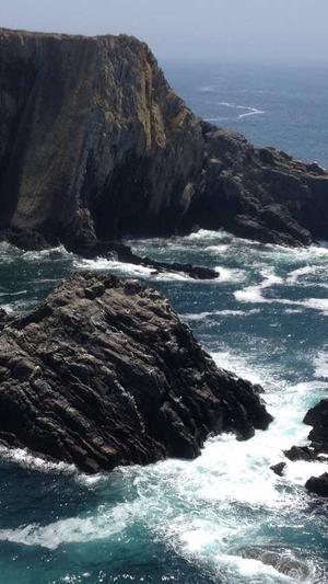 哈密瓜不可以和什么一起吃截图1