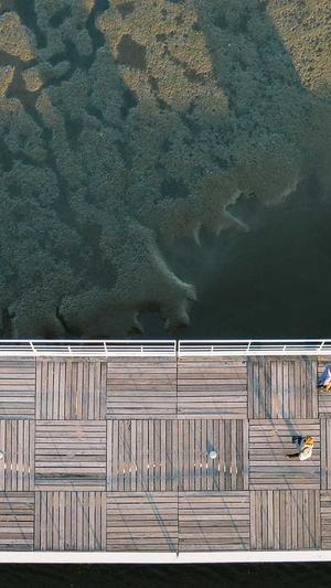 黑料正能量index.php截图3