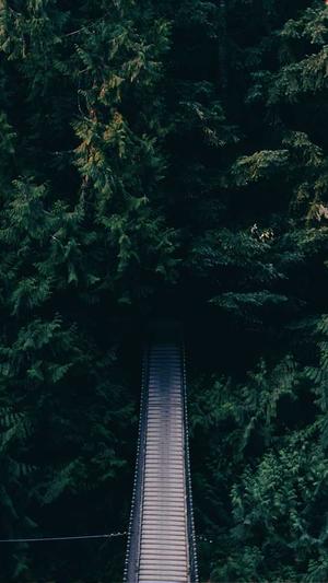 冲哥精选wallpaper黑料截图2