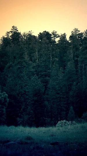 a路人黑料截图3