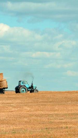 黄明昊黑料截图1