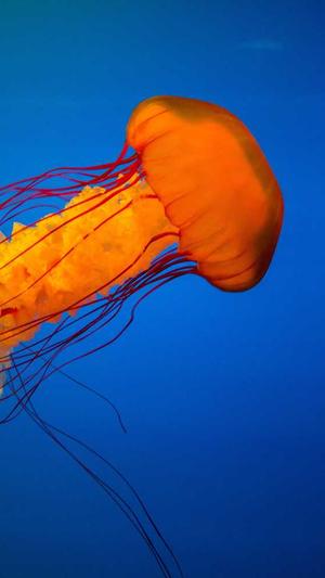 91吃瓜黑料截图4