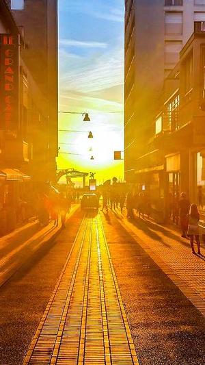 瓜拉纳长期吃副作用截图1