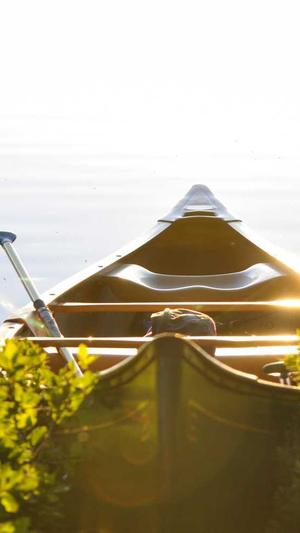 国产黑料吃瓜51吃瓜截图1