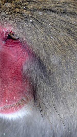 黑料网是什么截图1