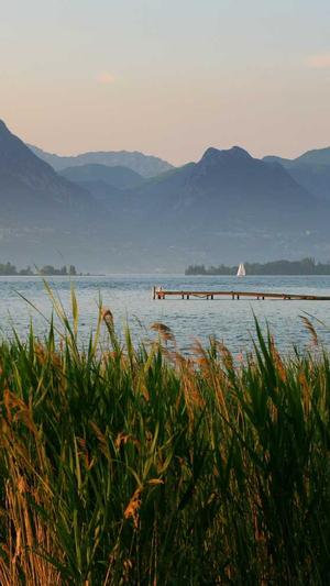 黑料不打烊吃瓜爆料入口截图5