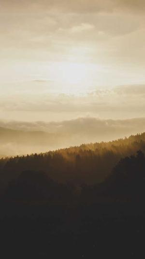 吃瓜网站.截图5