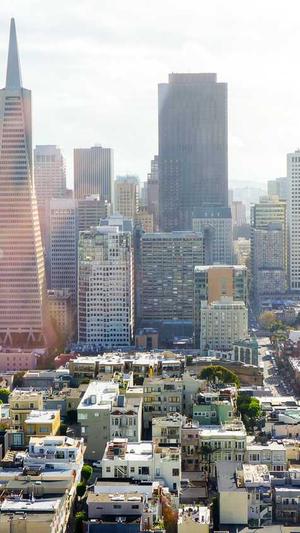 金丝绞瓜怎么吃截图3