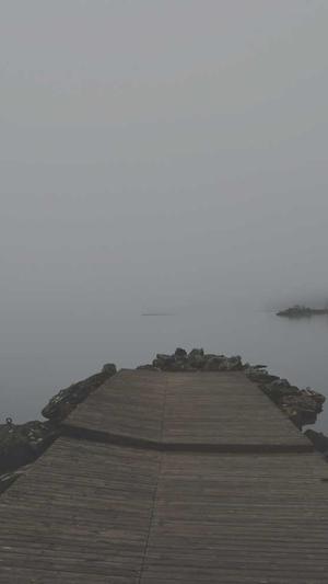 网红黑料app截图4