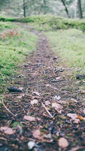 今日吃瓜爆料截图4