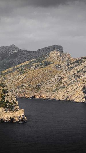 孕妇可以吃哈密瓜吗吗截图1