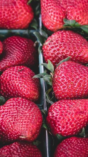 抱抱念酱黑料截图4