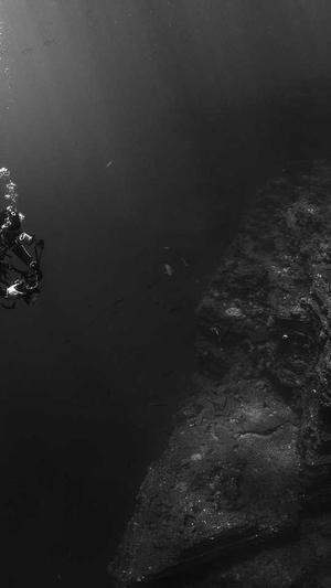 黑料社区网址截图4