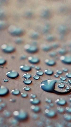 屈楚萧 黑料截图1