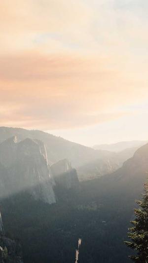 黑料指的是什么截图4