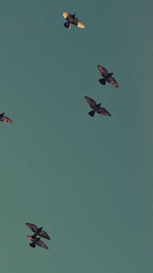 799.su黑料吃瓜网截图2