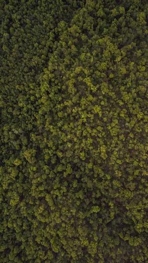 痞幼黑料图片截图1