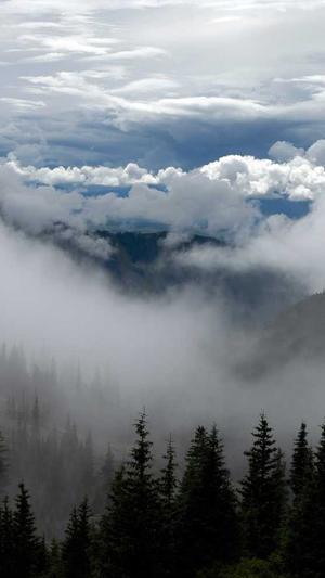 黑料吃瓜网不打烊截图4